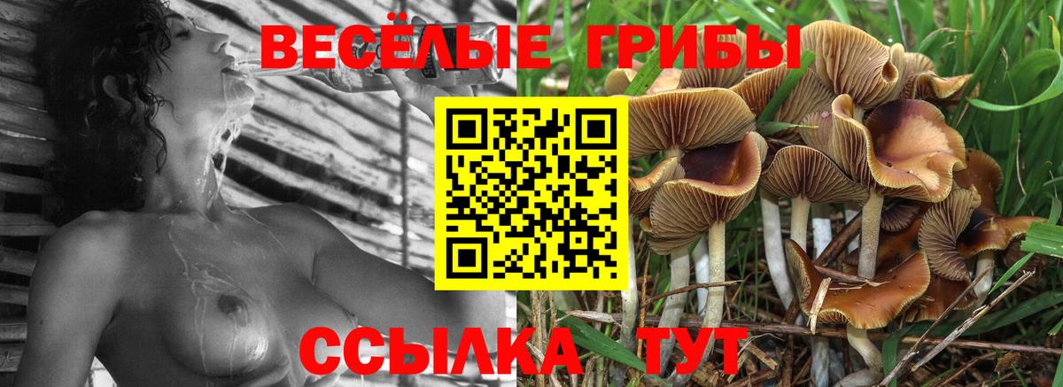 Псилоцибиновые грибы мухоморы Елец